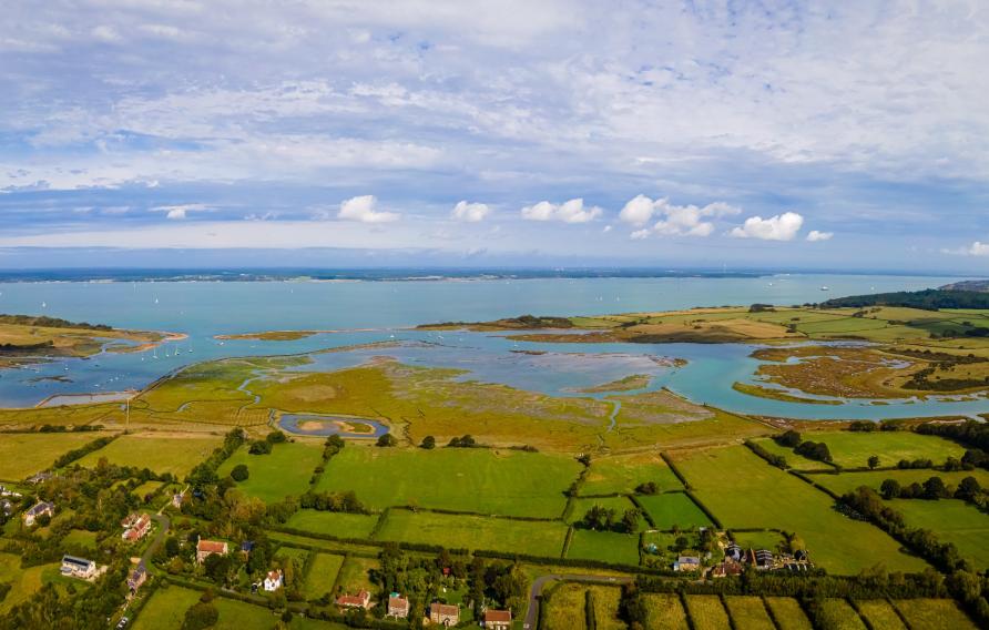 Estuary